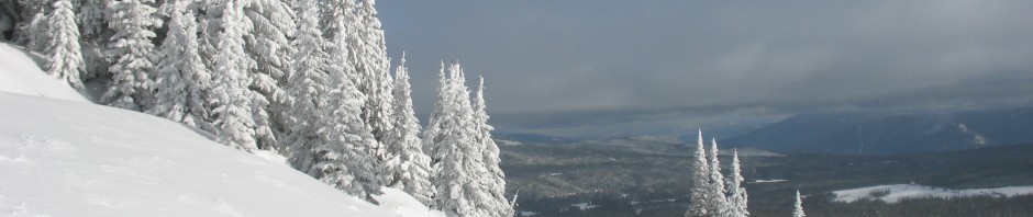 snow on the ski hill
