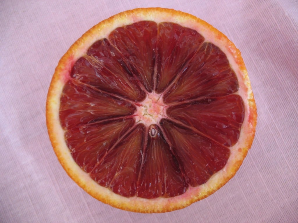 blood orange half