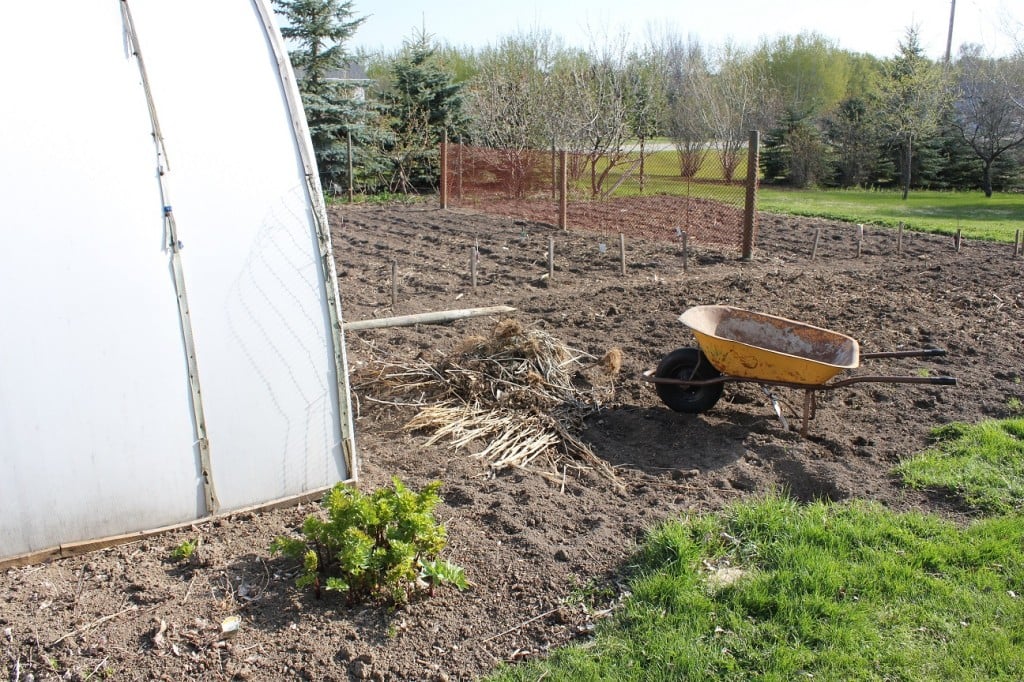 chocolate banana loaf, planting the garden