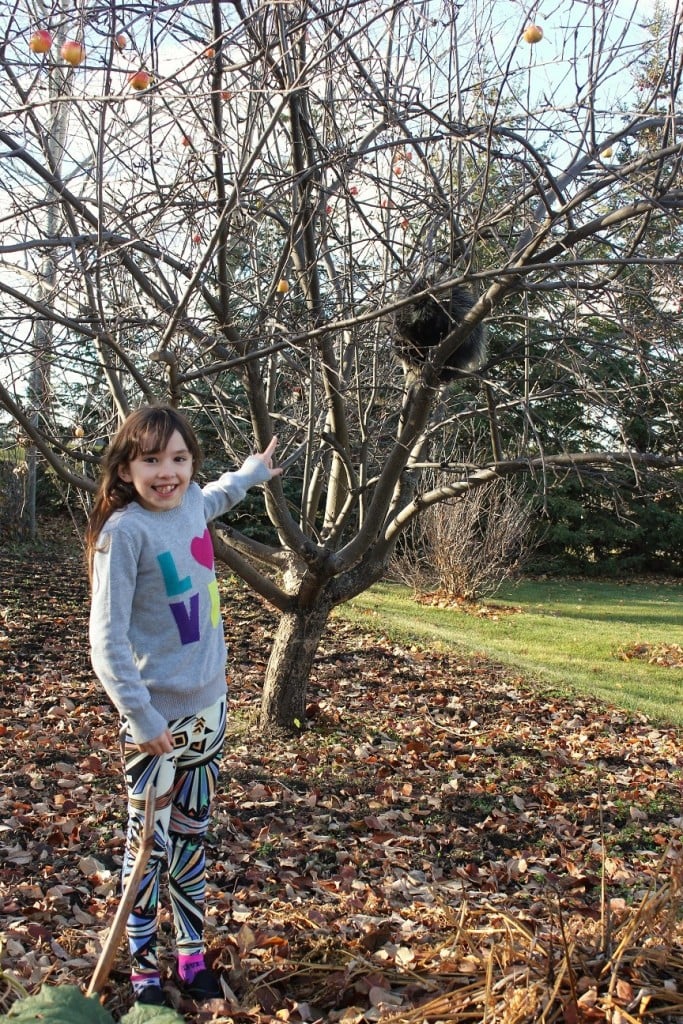 Cooking with Kids: Porcupine Meatballs, Meredith sees porcupine