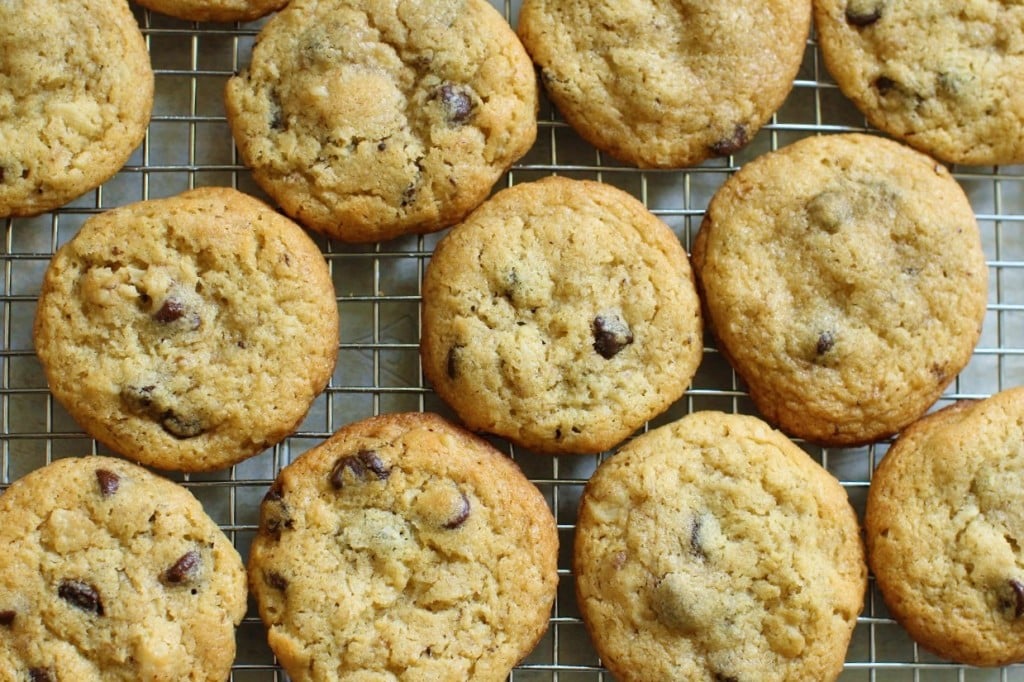 Egg free, gluten free chocolate chip cookies