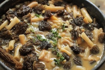 Pasta with Morel Mushrooms | Kitchen Frau