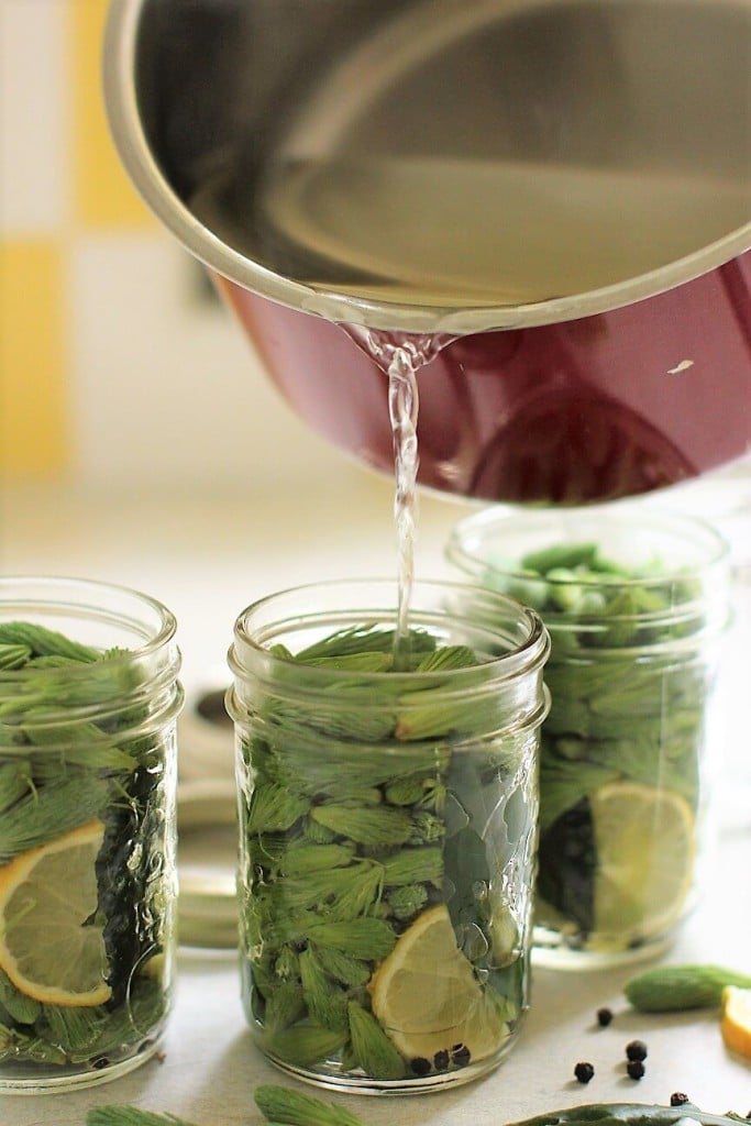 pickled spruce tips - pouring on the brine