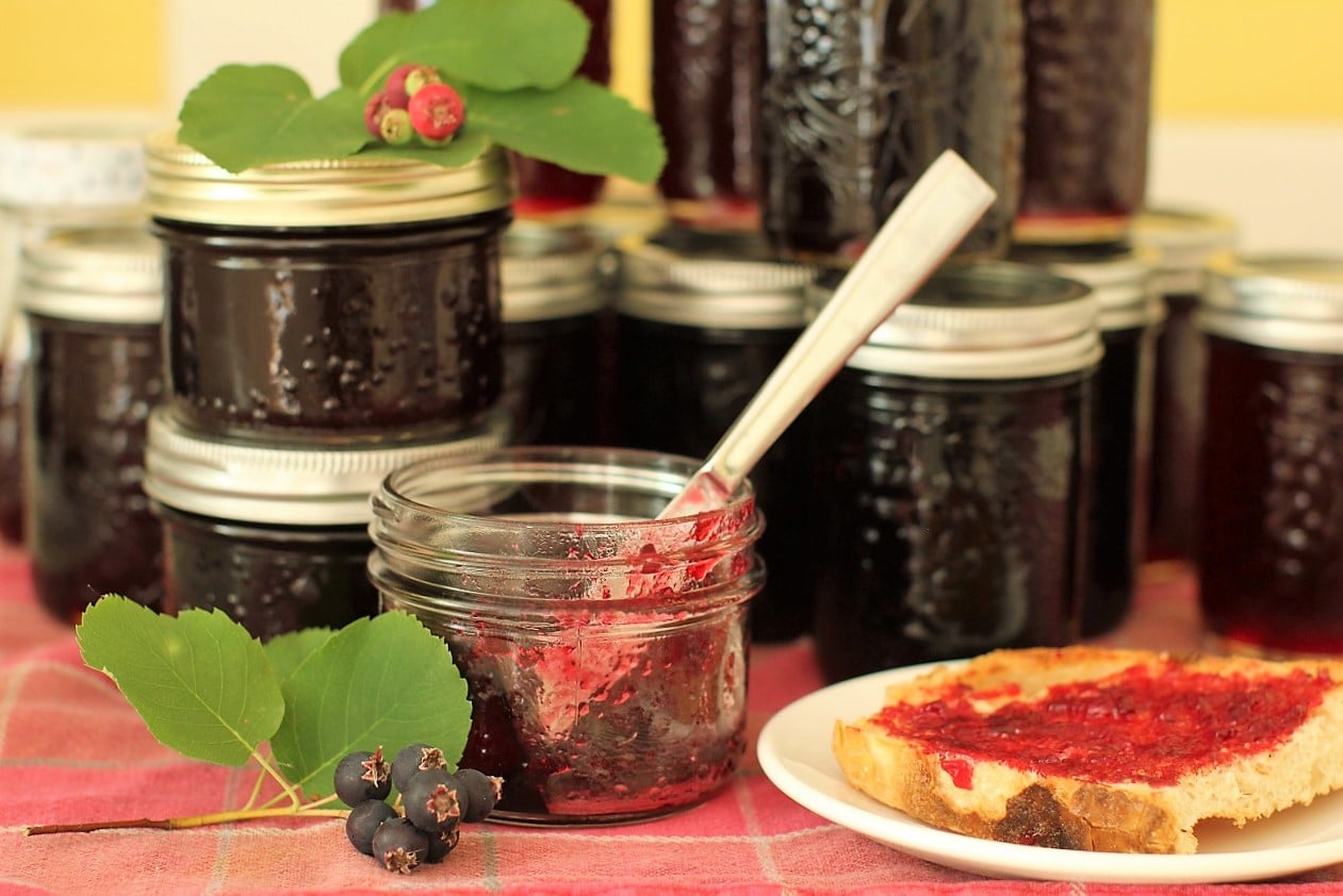 Jars of saskatoon jelly, with half empty jar in front, small plate with slice of toast with saskatoon jelly on top. Thumbnail.