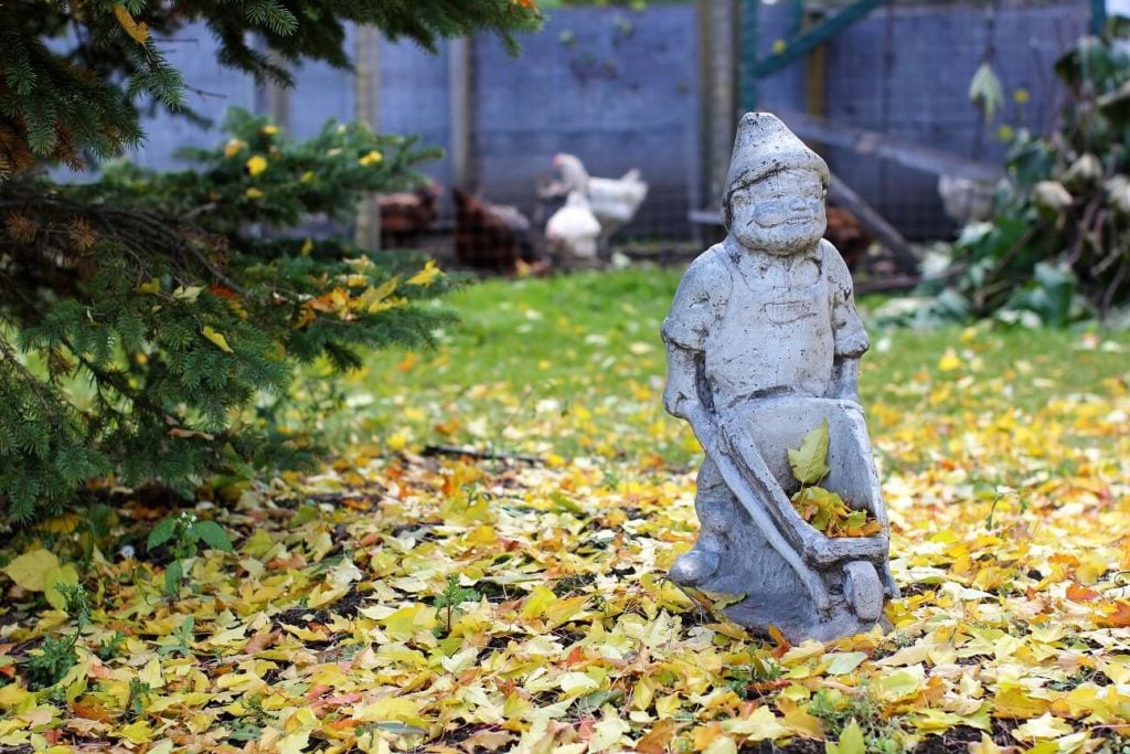golden lentil soup; garden gnome carting leaves