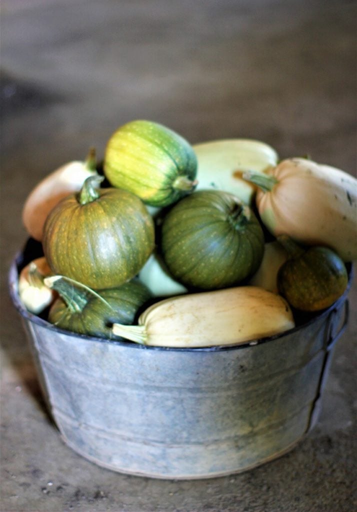 golden lentil soup; a bucket of squashes in the garage