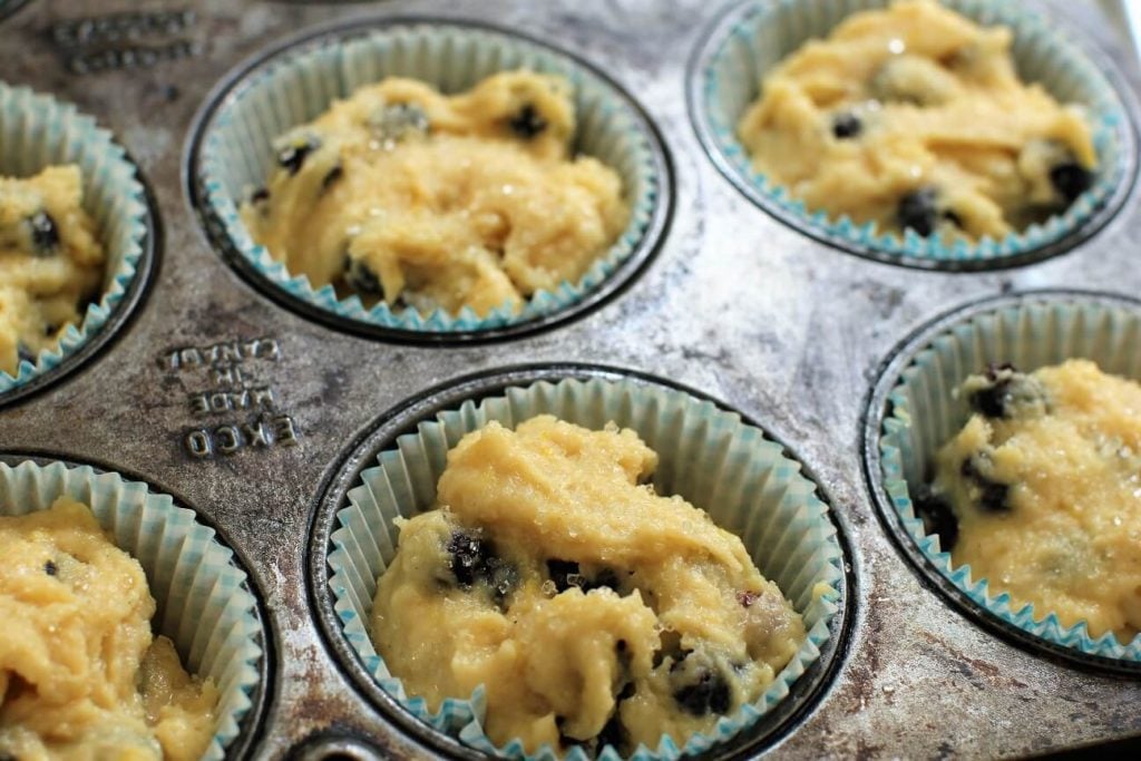 saskatoon muffins, ready for the oven