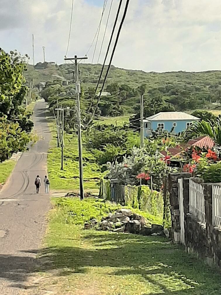 Antiguan country road with colourful houses, lush greenery, and two people walking