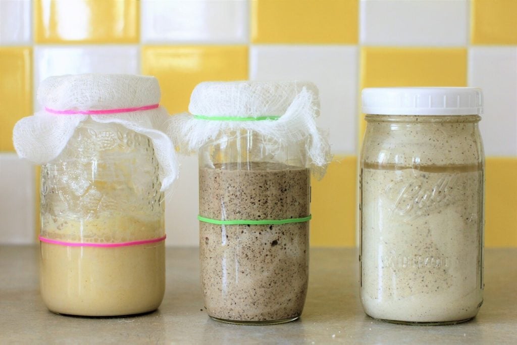 3 Jars of Sourdough Starter Kitchen Frau Food Blog