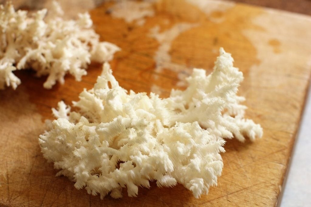 About Coral Mushrooms (& a few Coral Mushroom Recipes) Kitchen Frau