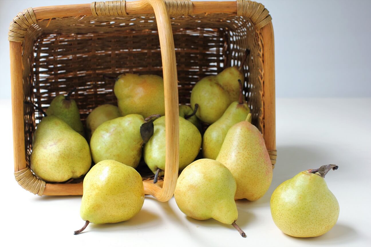 pears tumbling out of a basket