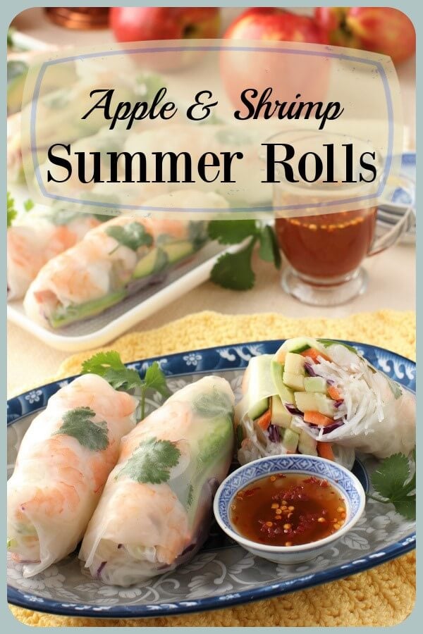 Summer Rolls Banner