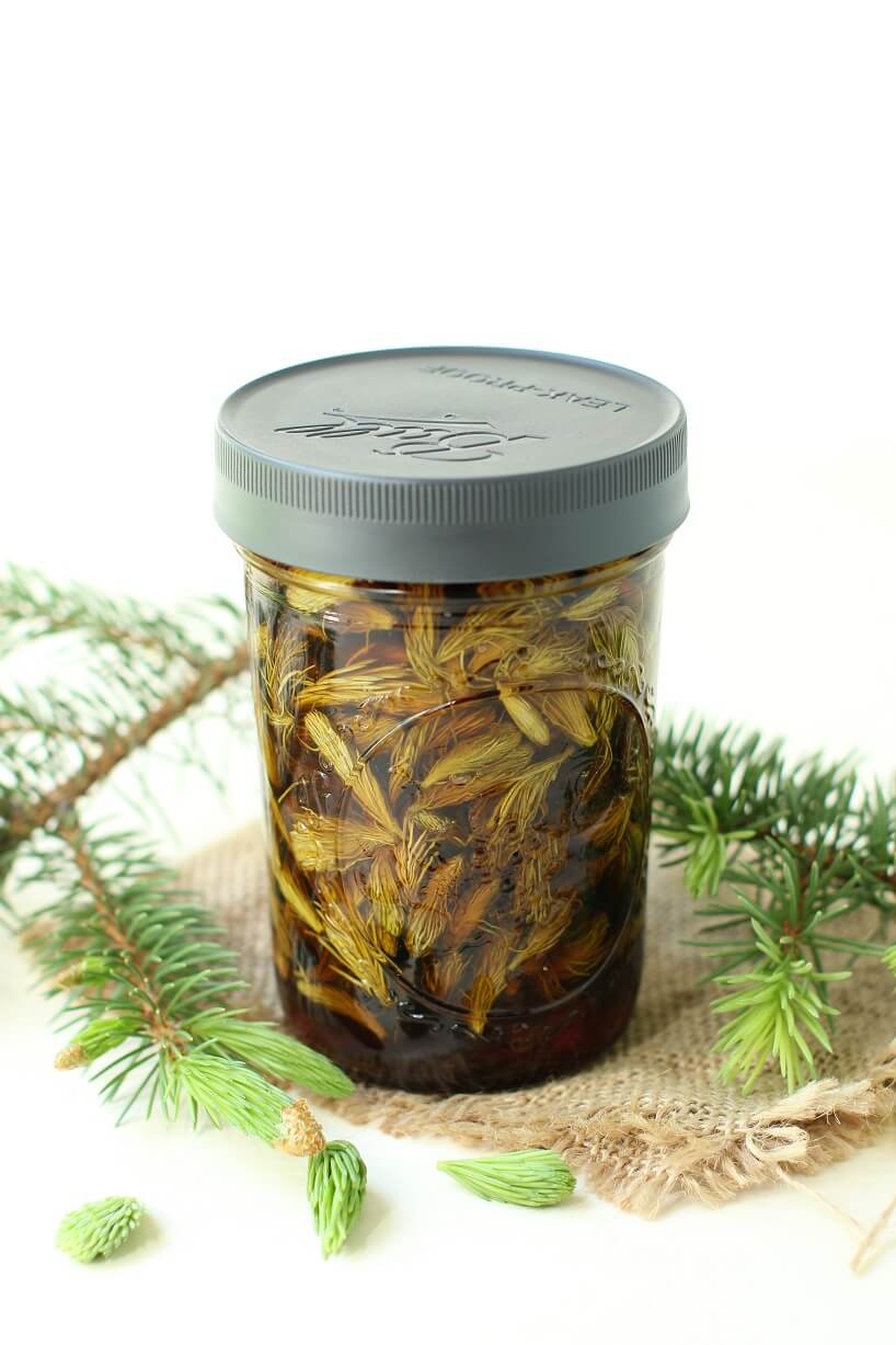 spruce tips in steeped syrup in a jar, ready to be drained