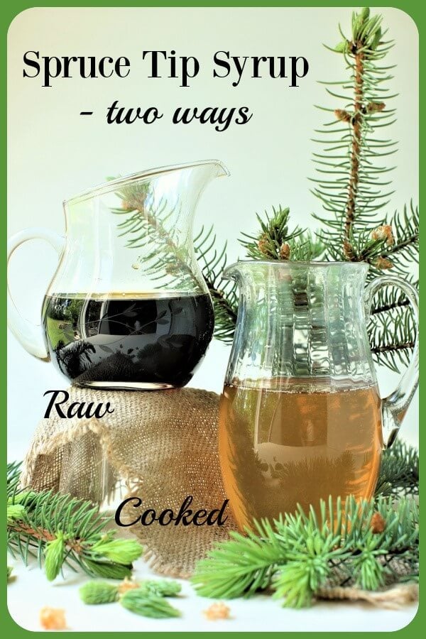 Spruce Tip Syrup Pinterest Banner