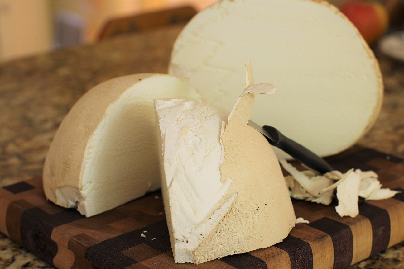 a cut-open puffball, pulling off the peel