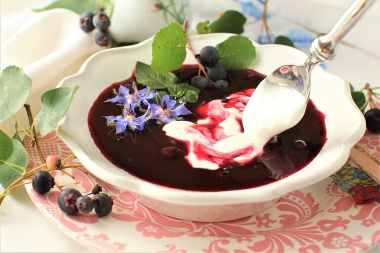 Chilled Saskatoon Soup Kitchen Frau