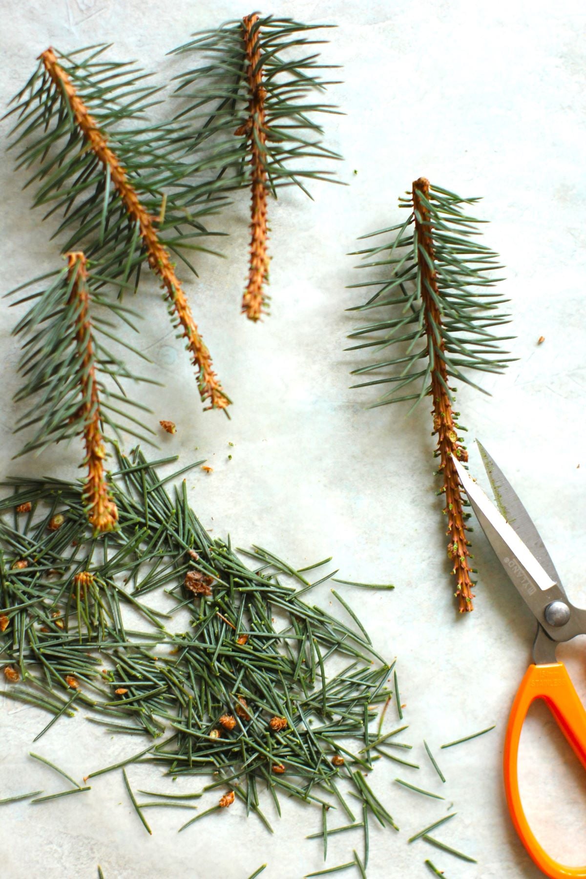 snipping spruce twigs to make mini trees.