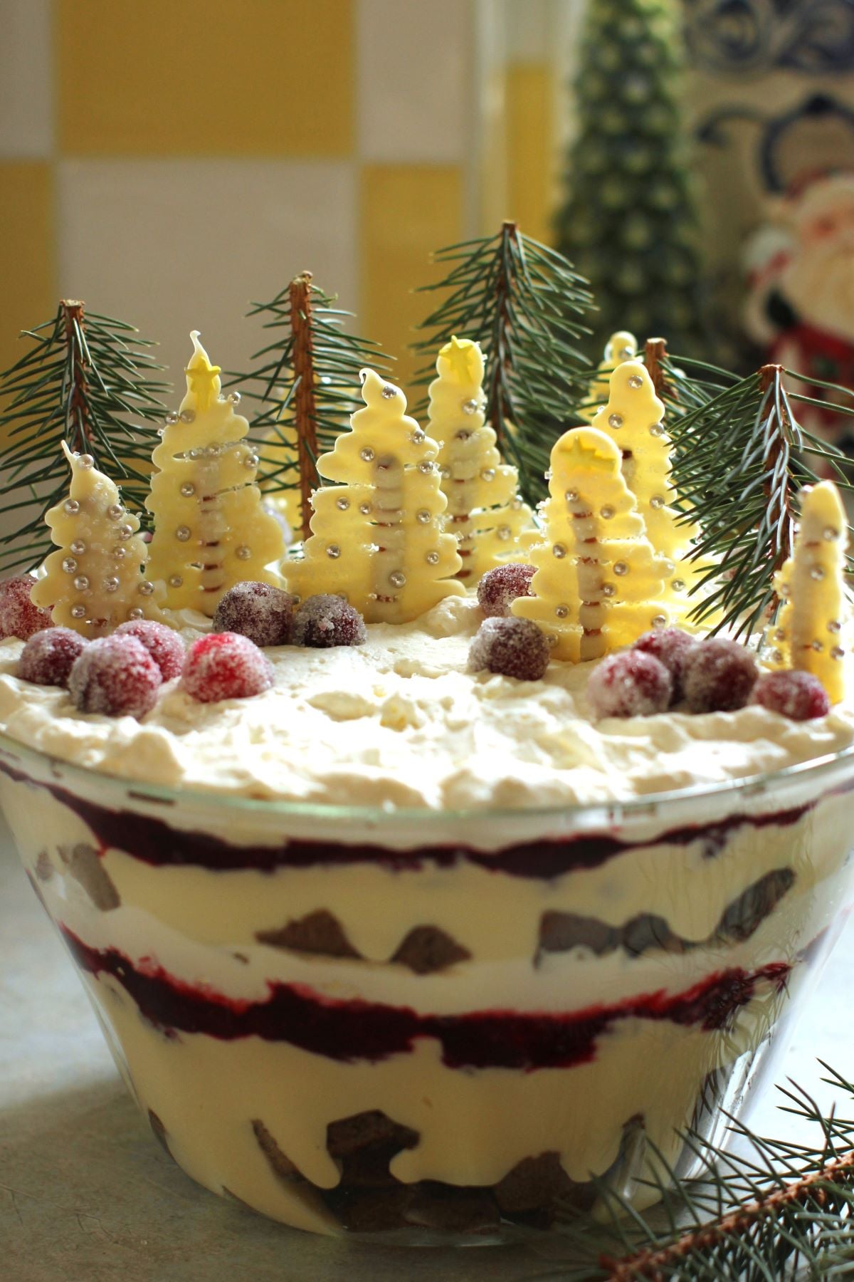 fully decorated Christmas trifle with white chocolate trees, spruce tip mini trees, and sugared cranberries.