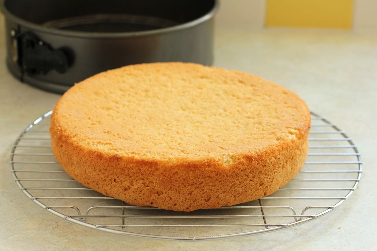 sponge cake on cooling rack.