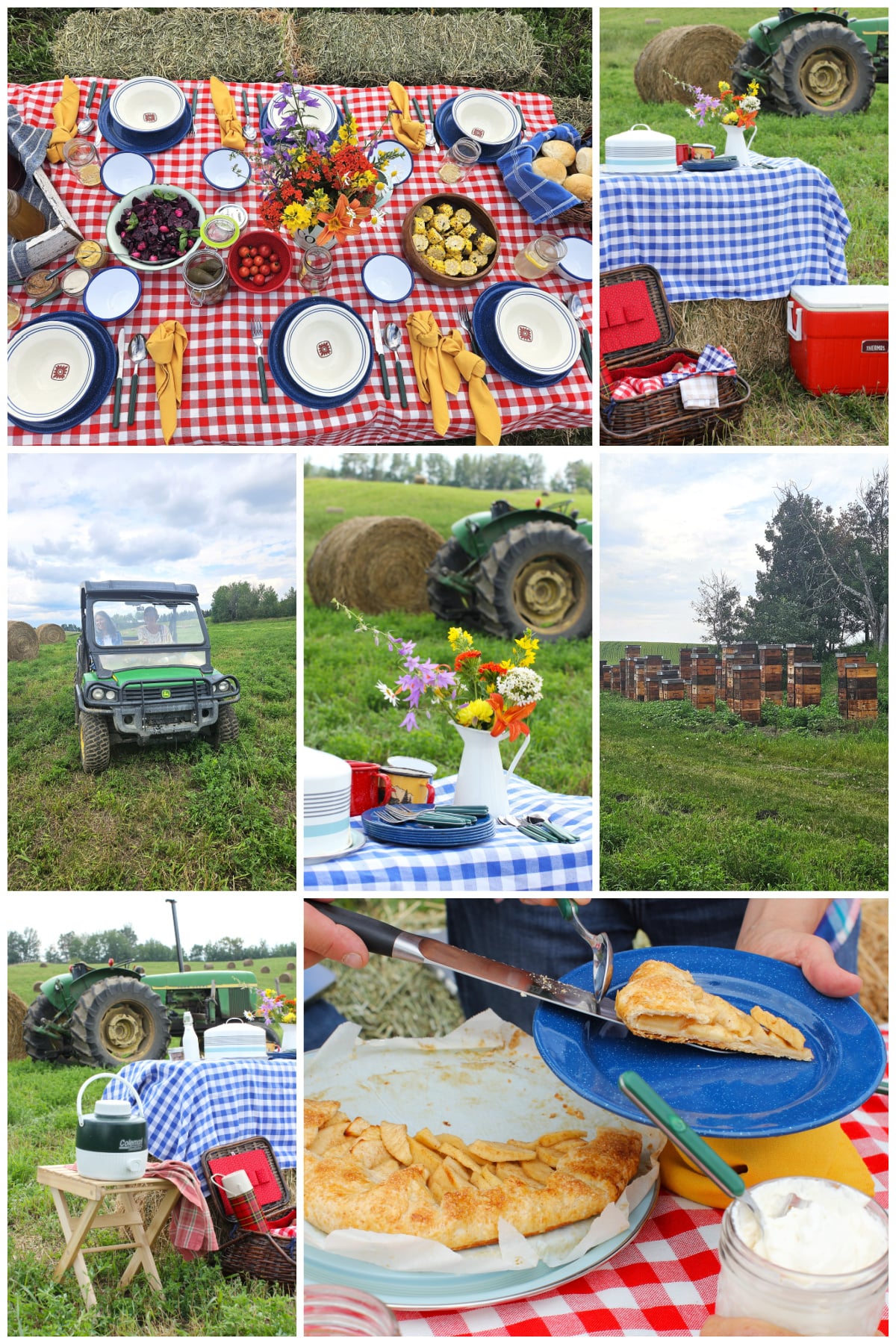 Collage of photos of our country picnic, including a shot of the top of the table, the side-by-side, and bee boxes.