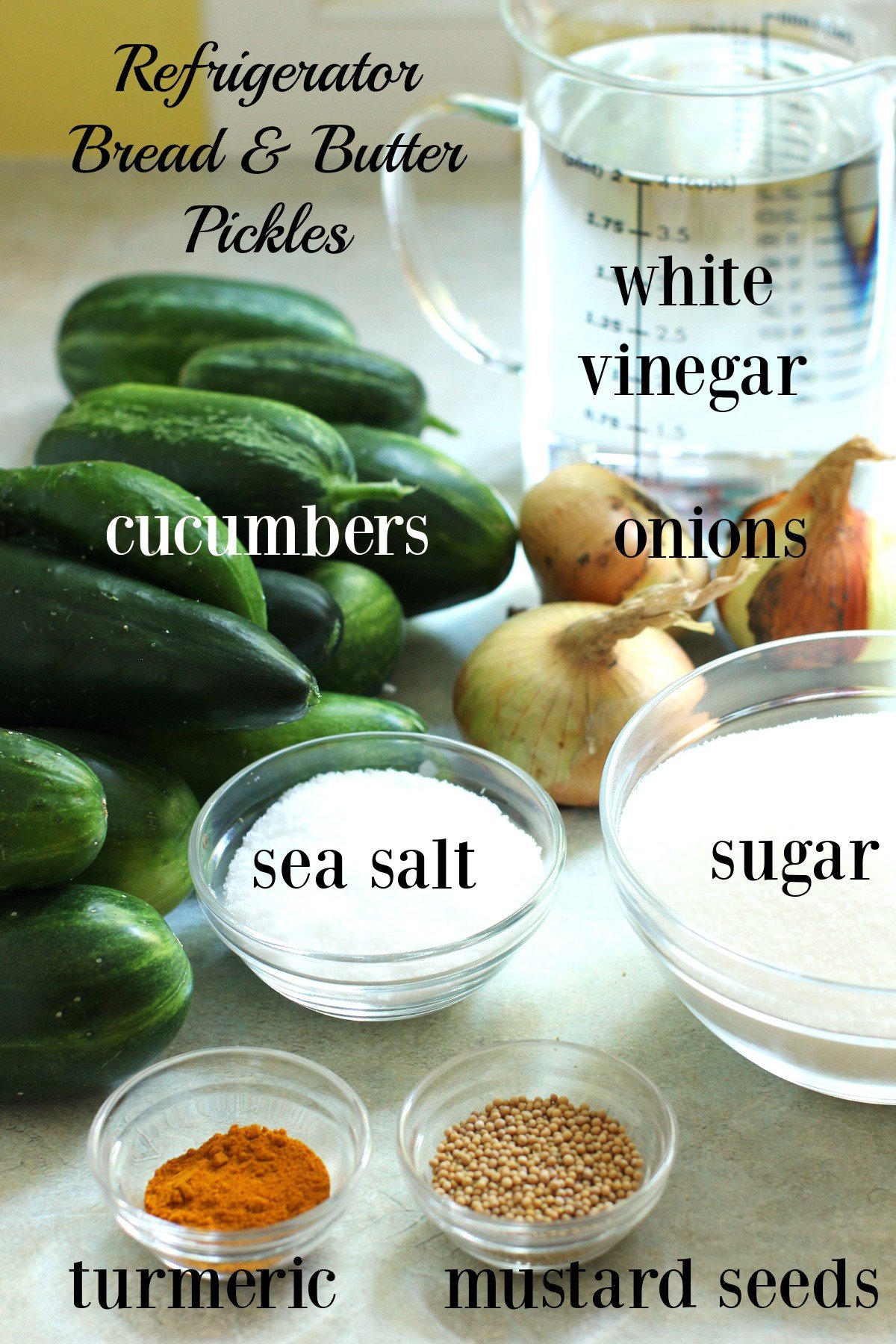 Labeled ingredients needed for refrigerator bread & butter pickles.