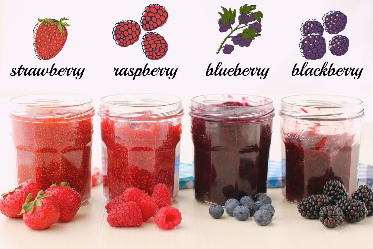 Four jars of chia jam in a row, with their matching fruits in front of them, the labels of their jam above, and drawings of matching fruits above those.
