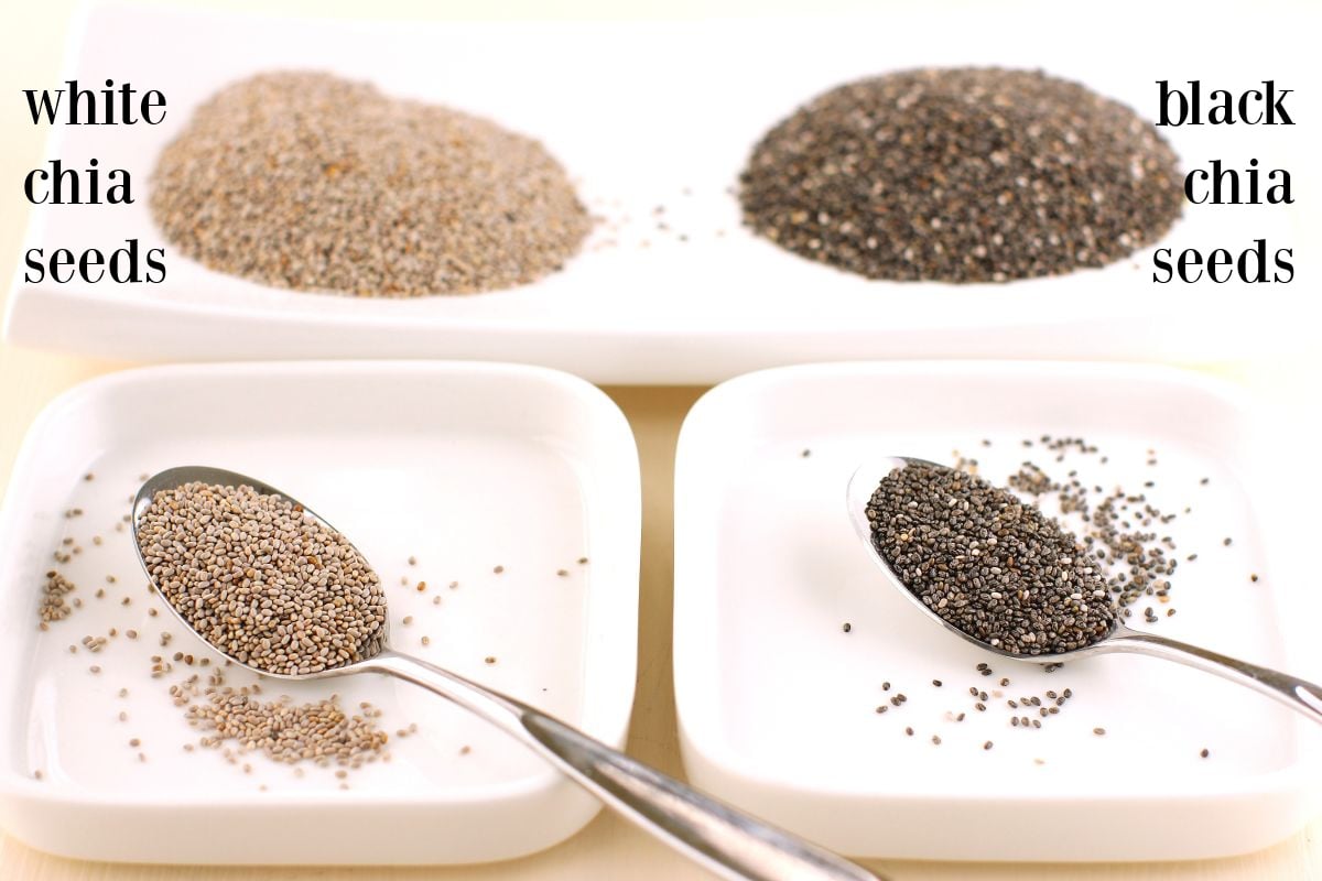 A spoonful of white chia seeds in a white dish on the left and a spoonful of black chia seeds in a white dish on the right, with mounds of matching chia seeds behind them on a white plate.