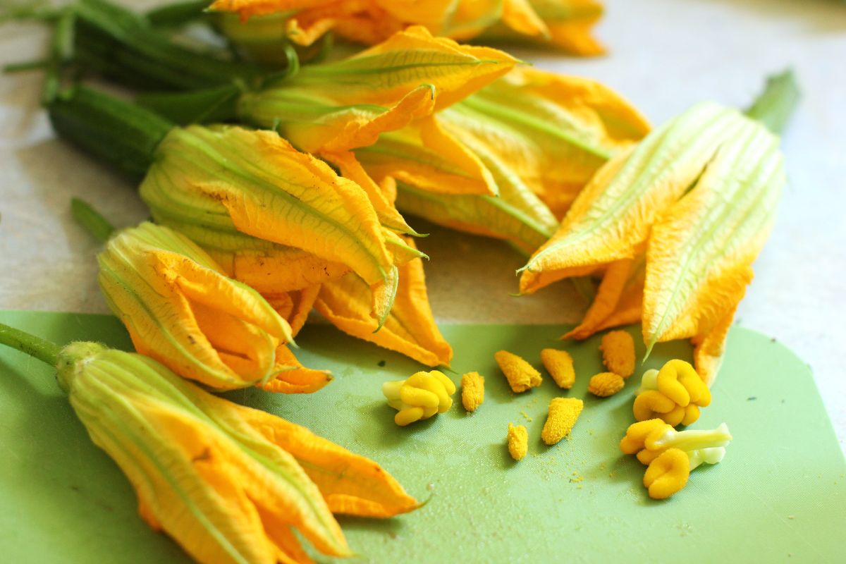 Zucchini blossoms and the removed stamens and stigmas.