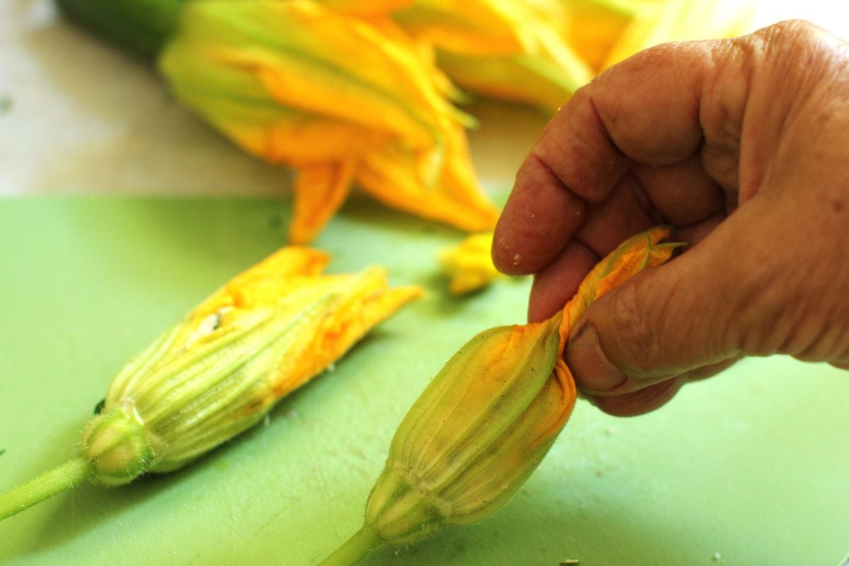 Twisting the zucchini blossom together.