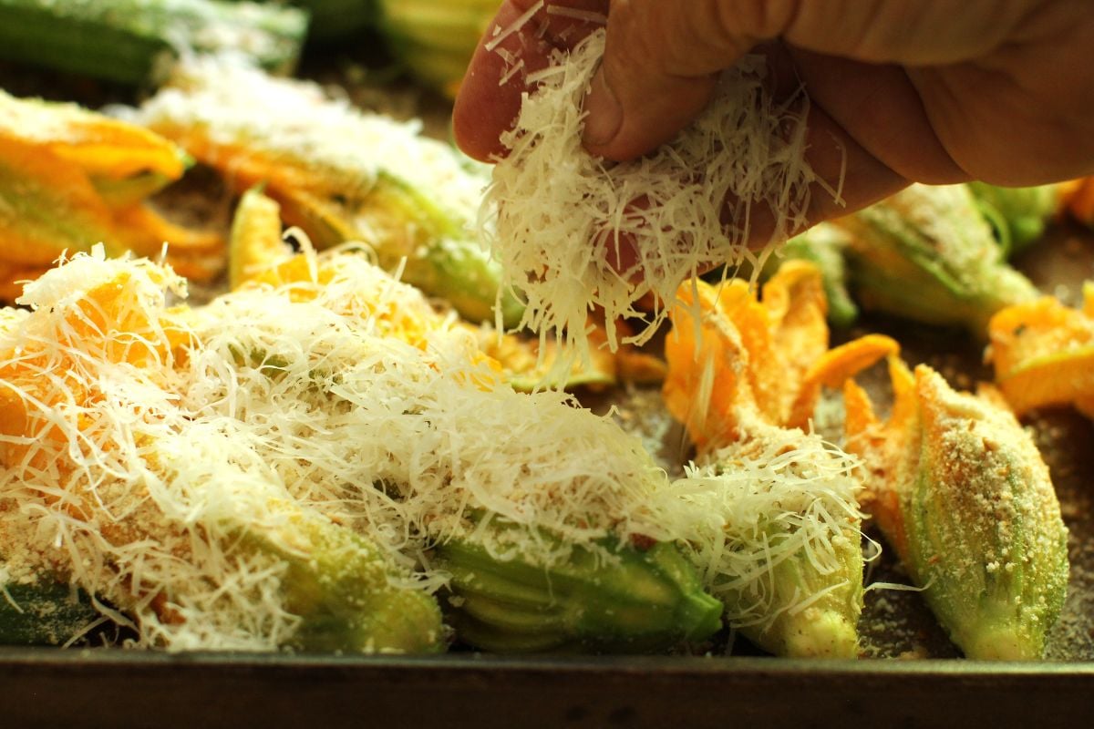 adding shredded parmesan cheese to the stuffed zucchini flowers.