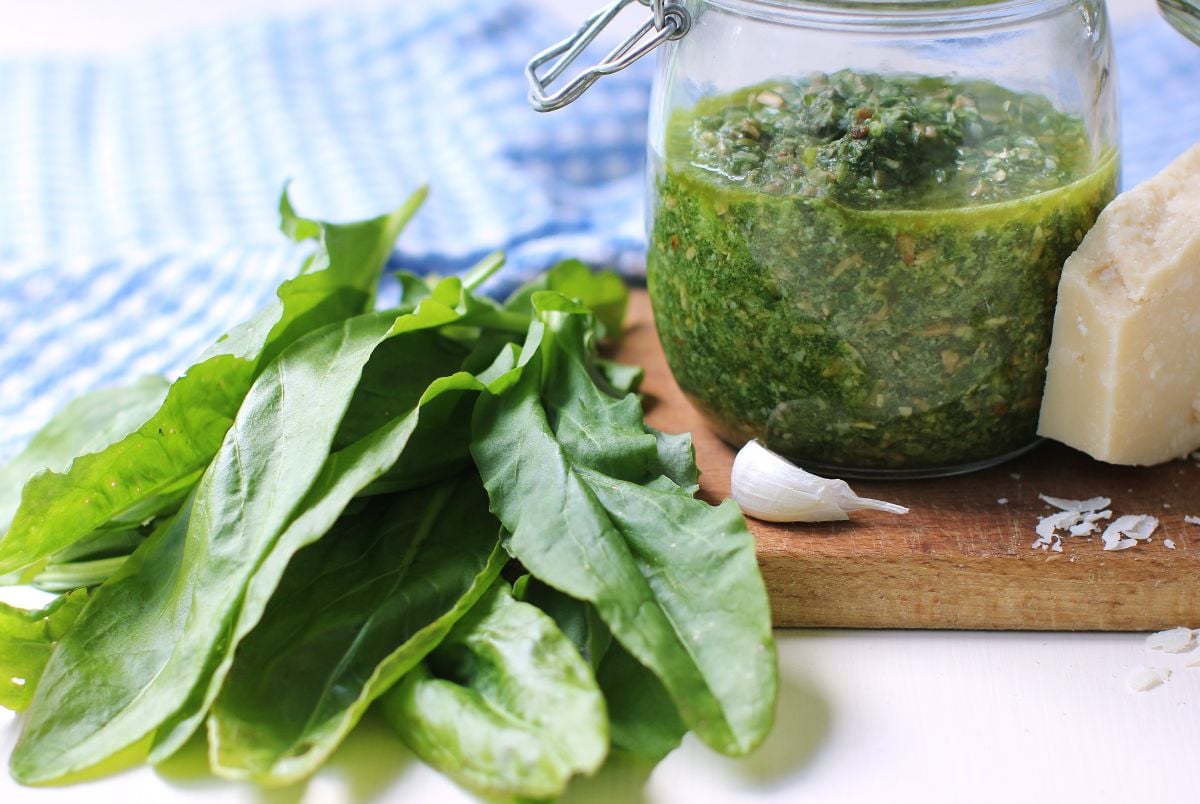 Handful of sorrel leaves beside a jar of pesto and a chunk of Parmesan cheese.