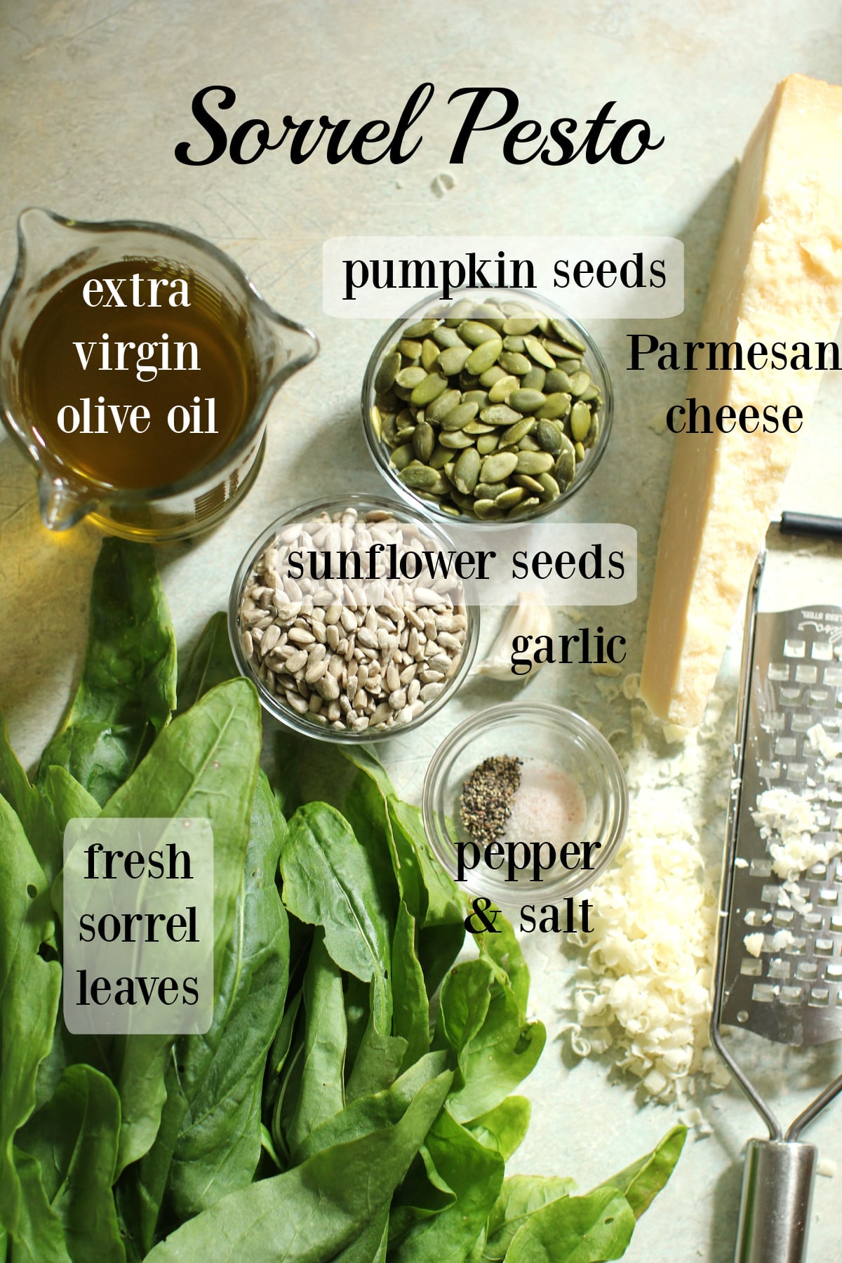 labeled ingredients needed to make sorrel pesto.